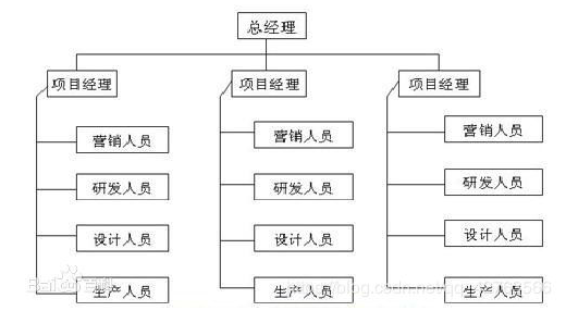 项目型组织结构